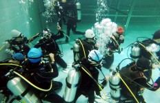 2019 신나는주말체육학교 학교밖프로그램 스킨스쿠버 사…